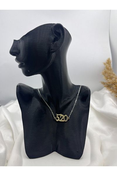 Store 520 Emergency Money Section Necklace