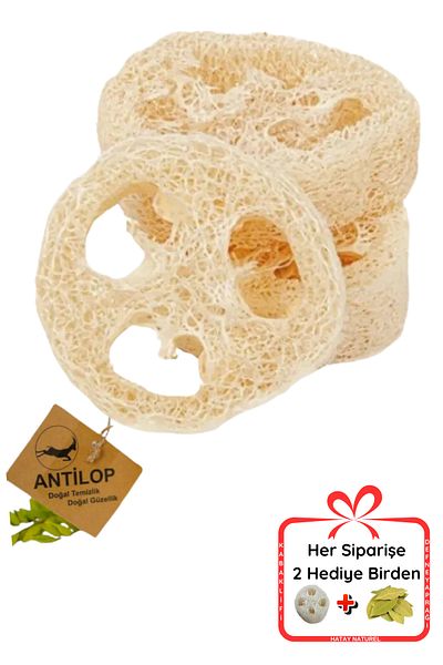 Antilop Natural Pumpkin Fiber - Oval Set of 2 (Dish Sink and Cleaning Hygienic)