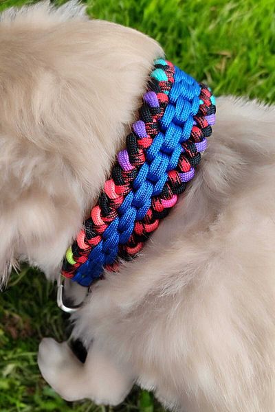 Urz Kids Colorful Small Breed Paracord Leash