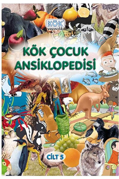 Kök Yayıncılık موسوعة الجذر الطفل 5 جلد