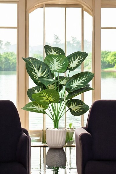 SY Vista Yapay Difenbahya - Salon Bitkisi 85-90 Cm