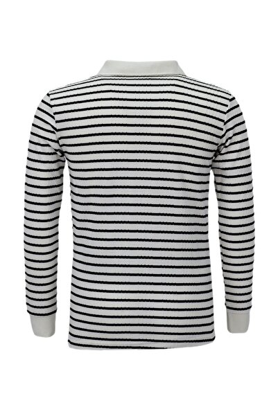 BAGLAN Чоловічий спортивний смугастий сезонний трикотажний светр з поло-коміром BGL-ST03930
