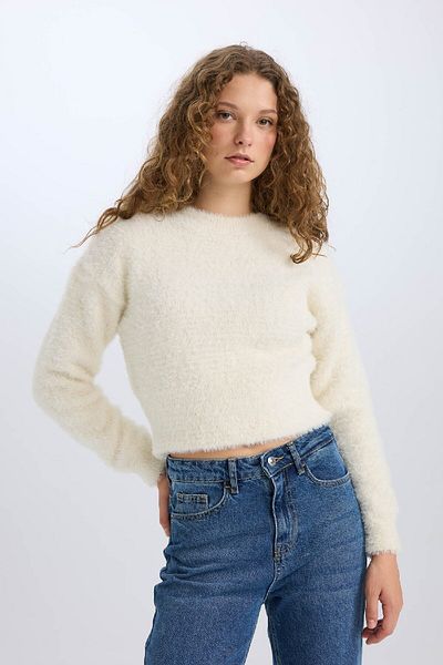 DeFacto Regular Fit Crew Neck Knitwear Sweater C6320Ax24Cw