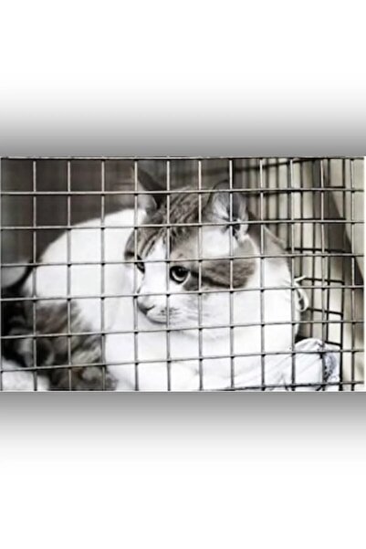 ERSA DEMİR ÇELİK Ersatel Hasır Tel 2,20 Mm X 2*2 Cm X 100x200 Cm - 10'lu Avantaj Paket - Tarım, Bahçe, Inşaat, Kümes