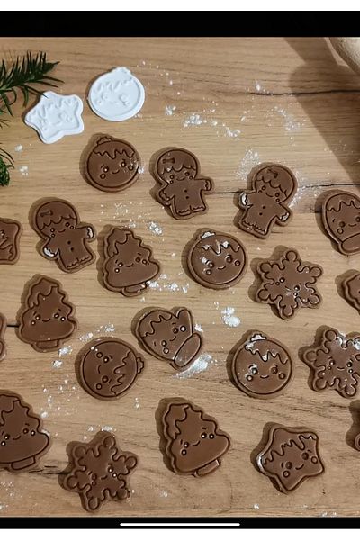 Arsdcraft Set of 6 Christmas Themed Cookie Molds