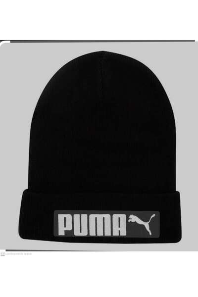 Puma bere
