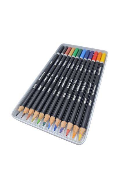 Derwent Academy Professional Dry Paint Set of 12