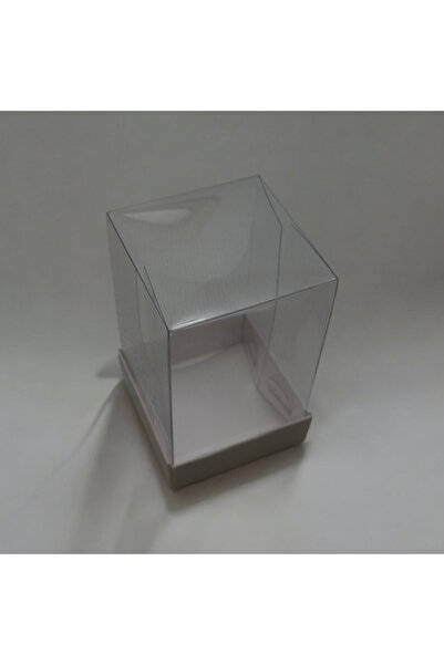 BOXSTATION 5x5x8 Asetat Kapaklı Kutu 50 Adet