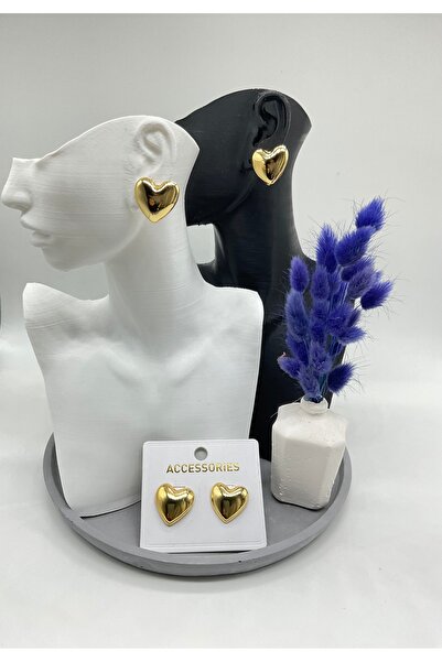 REYNA Kadın Minimal Kalp Model Küpe