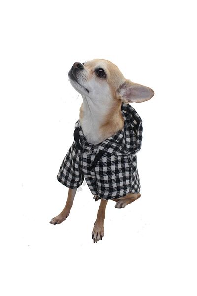Pettrend White Plaid Lumberjack Shirt Cat Dog Shirt Cat Dog Outfit