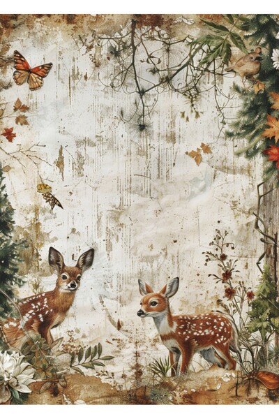 Hiras Dizayn Kuromi54 20 Adet Çeylan Manzaralı Desenli A4 Sevimli Etkinlik Me...