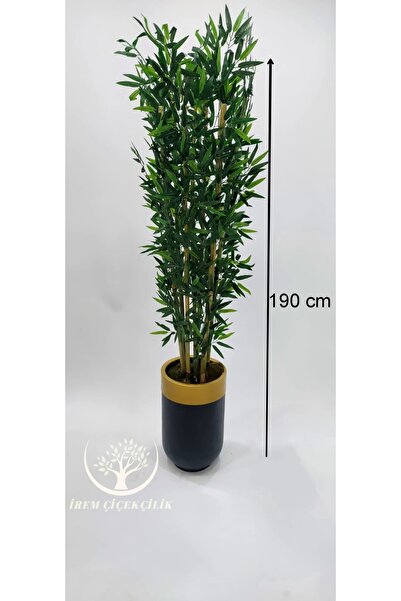 İremÇiçekçilik 7'li Siyah Gold Darbuka saksıda Bambu - Premium