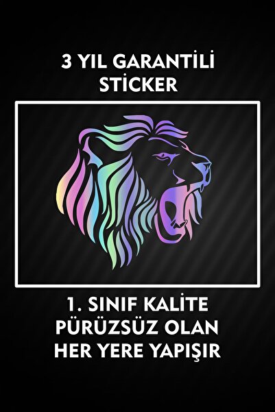3M Aslan Sticker Araç Etiket Araba