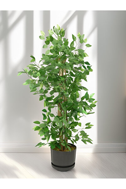 TamEvim Bakım Derdi Yok - Benjamin Ağacı Serinova Saksıda Çim Detaylı Yoğun Yapraklı 130 Cm Yapay