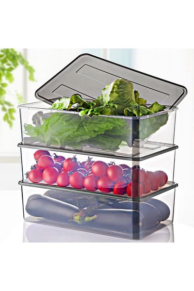 Espas Home 4 Lt Storage Container Usable in Refrigerator and Deep Freezer - Set of 3