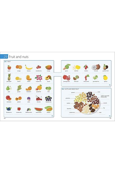 Dorling Kindersley Publisher English for Everyone English Vocabulary Builder (Illustrated)