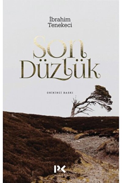 Marvel The Last Flatness