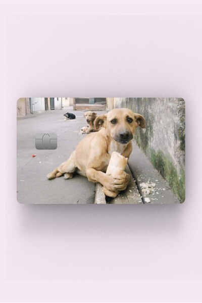 Namgo Sefalet Köpek Kredi Banka Kart Kaplama Etiketi Stickerı