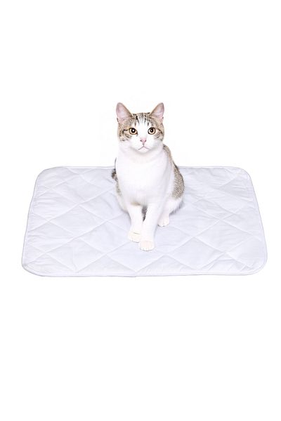 Denizli Alez Washable Quilted Liquid Proof Cat and Dog Pee Pad