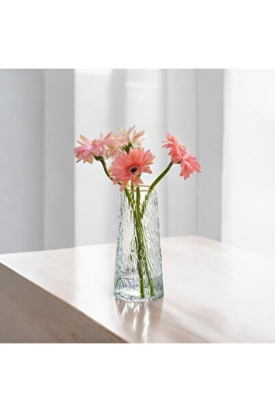 Binbirdemet Yeni Yıl İskandinav Tarzı Cam Vazo Şeffaf