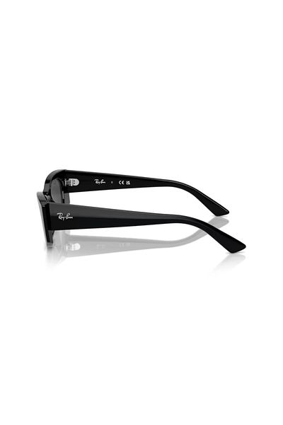Ray-Ban Ray Ban Unisex Irregular Kat Sunglasses- Rb 4427 - Lense Size:49mm - Black