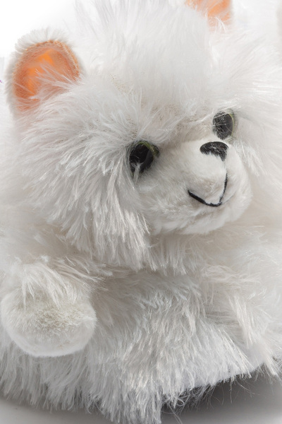 Twigy Kedi-3 Kadın Hayvanlı Panduf Beyaz 36/41