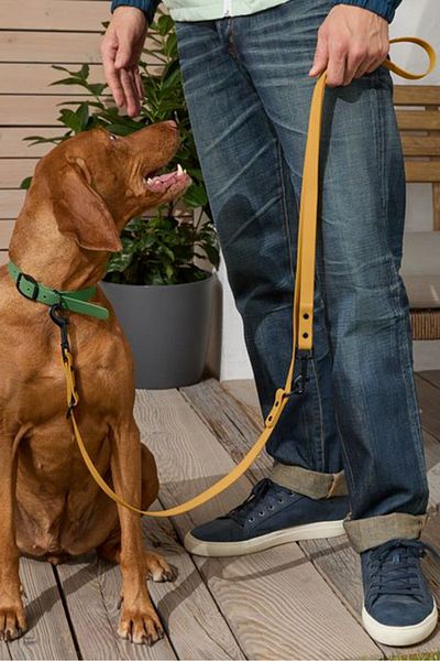 Tchibo Dog Lead Leash Waterproof, Yellow