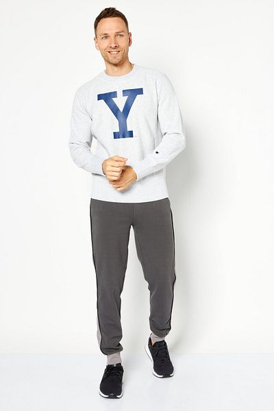 Champion Men Sportswear Fit Long Sleeves Outdoor Sweatshirt, Grey
