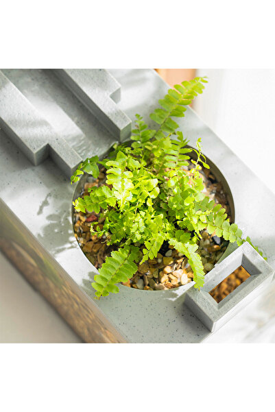 Generic Aquarium fish tank mini with planting Size 31.5x16.5x13cm