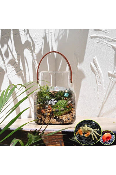 Generic Aquarium terrarium glass tank 71x47x61