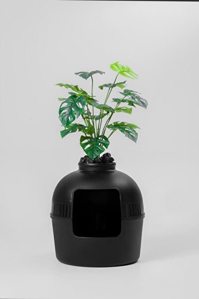 Dekorapet Dekoratif Kedi Tuvaleti/Evi