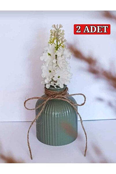 E.M.S AVM 2 Adet Vazo Çizgili Vazo Pampas Vazosu Yapay Ve Kuru Çiçek Vazosu M...