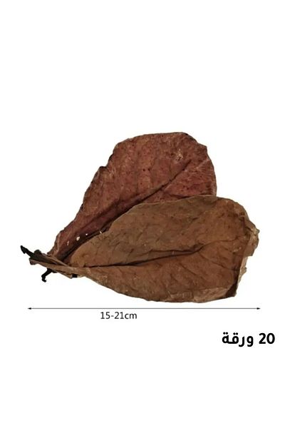 Generic Aquarium indian almond leaves
