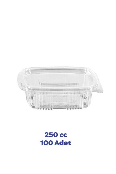 TiriStore Tiri Store 250 Cc Leak Proof Plastic Container with Lid 100 Pieces Clear