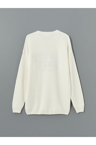 LC Waikiki Crew Neck Long Sleeve Embroidered Men's Knitwear Sweater - W4Ln84Z8
