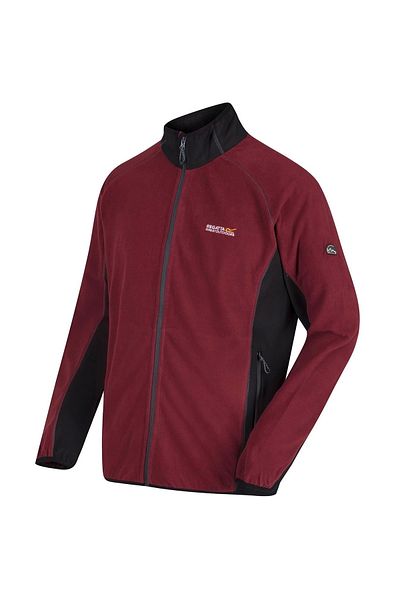 Regatta Ashton Erkek Polar-bordo
