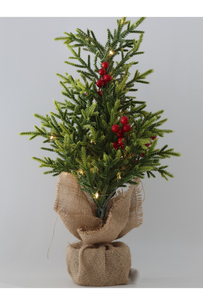 Genel Markalar 20 Ledli Mini Çam Ağacı 50cm