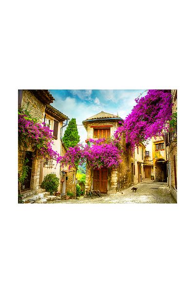 Neverland Provence 1000 Piece Puzzle