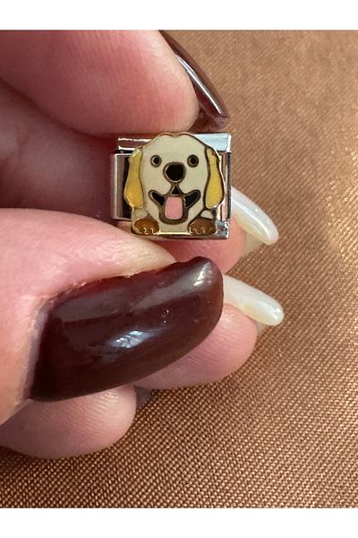 Vaveyla Italian Steel Bracelet Charm