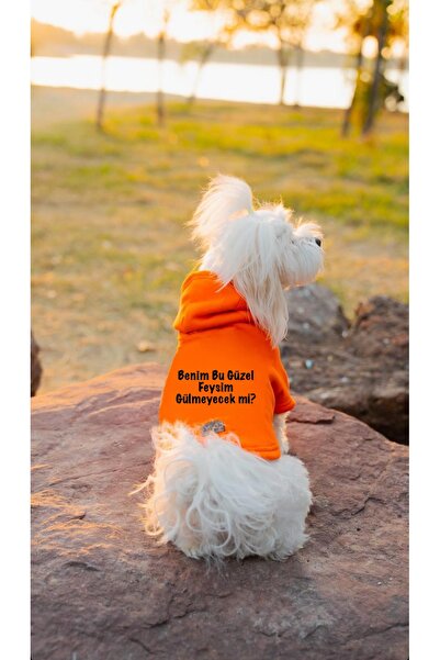 Buddy Store Cat and Dog Patterned Orange Sweatshirt - My This Beautiful Feysim Will Never Laugh Printed