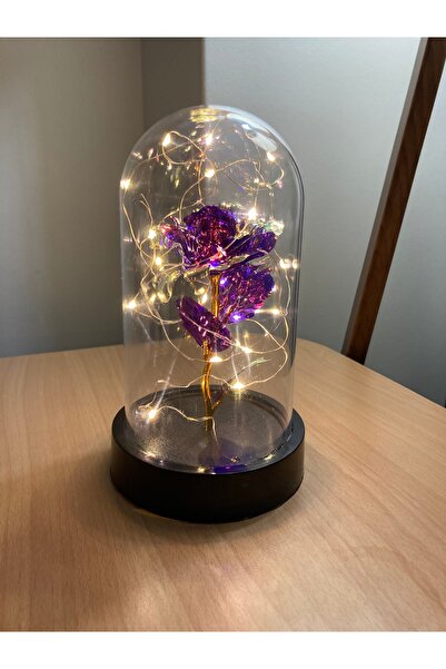 Fanus Sonsuz Aşk Gülü Ledli Sonsuzluk Gülü Çiçeği Sevgililer Günü,anneler Gün...