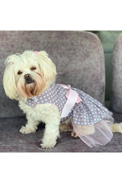 ZASEL LAND Parti için pembe gri köpek elbisesi