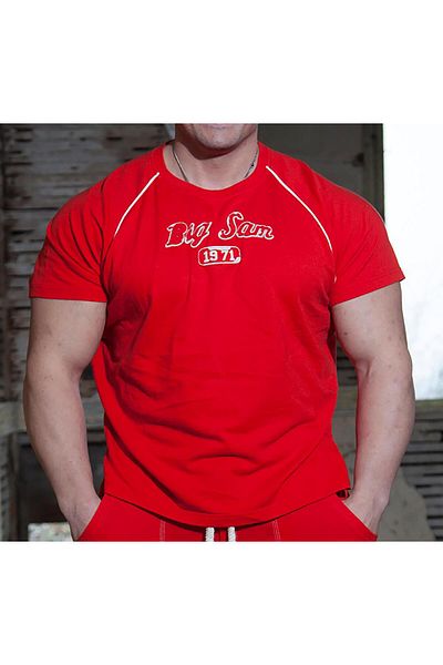 Big Sam Raglan Sleeve Sports T-Shirt 3113