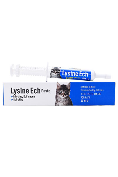 N-Active Lysine Ech Paste ( Immune Health ) 30 Ml Pasta
