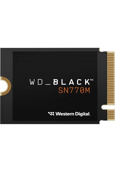 WD SN770M WDS500G3X0G SSD أسود - 500 جيجابايت