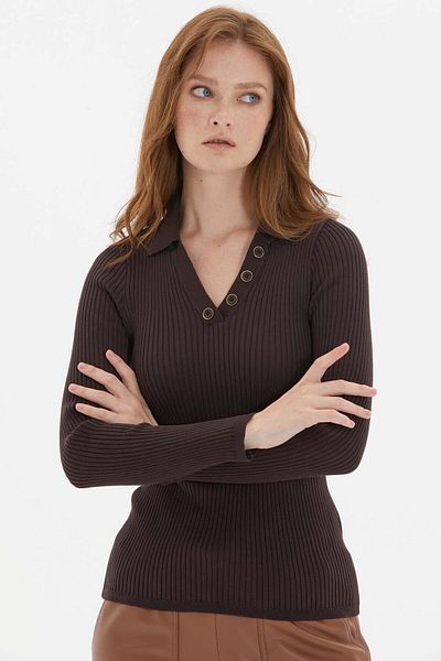 Two Mail Brown Polo Neck Blouse