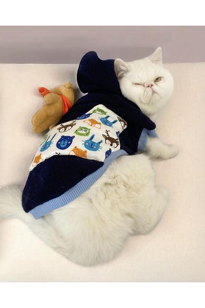 Kemique Cat Teddy Roo Hooded Cat Sweatshirt (Medium 2 - 3 Kg)