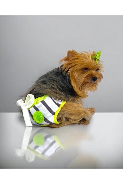 Kemique Lime Fuzz Kemique's Secret Köpek İç Çamaşırı Regl Külot Don