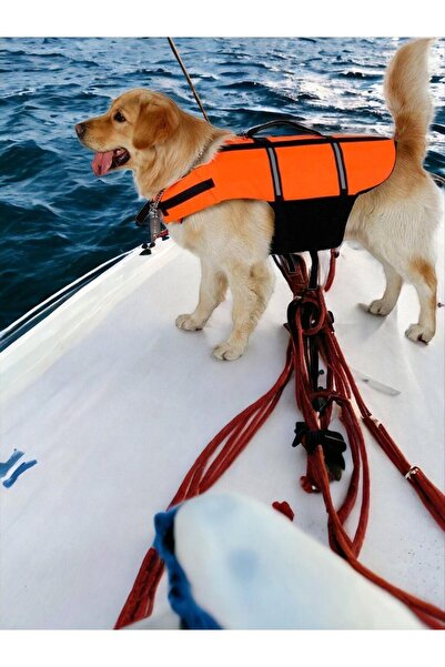 Kemique Köpek Can Yeleği, Köpekler için Reflektörlü Yüzme Yardımcısı