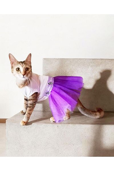 Kemique lilac Cute Cat Dress with Mouse Tutu - Medium (2.5 - 3.5 kg)
